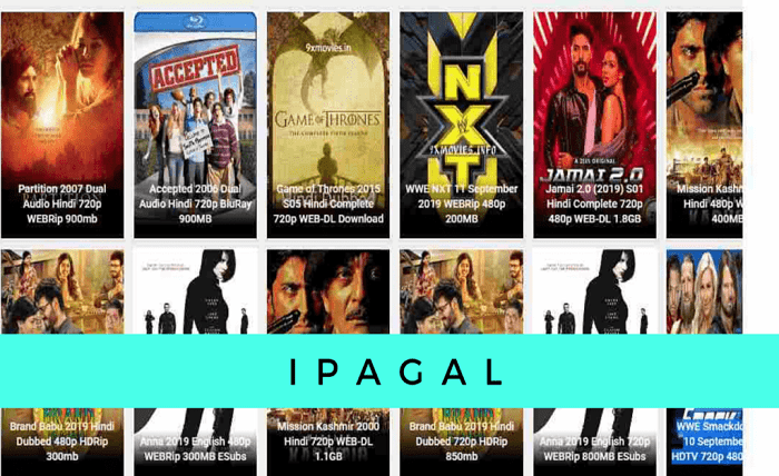 Ipagal A Review of the Popular Torrent Site Ipagal